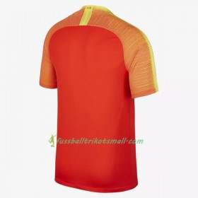Günstige Fußballtrikots China 2018 Kurzarm Heimtrikotsatz kaufen